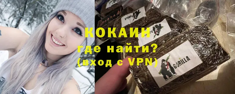 Где найти наркотики Богородск ГЕРОИН  A PVP  Гашиш  МЕФ  Канабис 